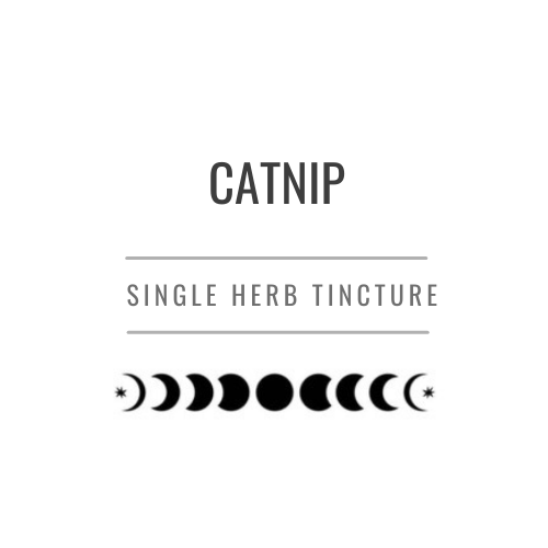 Catnip Tincture