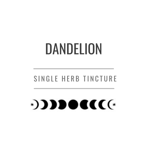 Dandelion Tincture