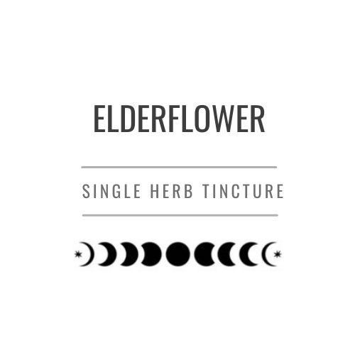 Elderflower Tincture