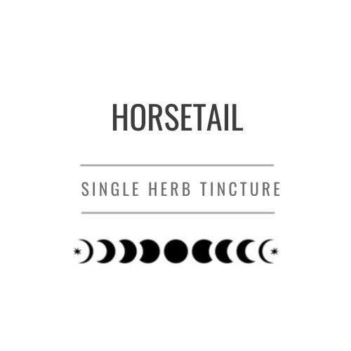 Horsetail Tincture