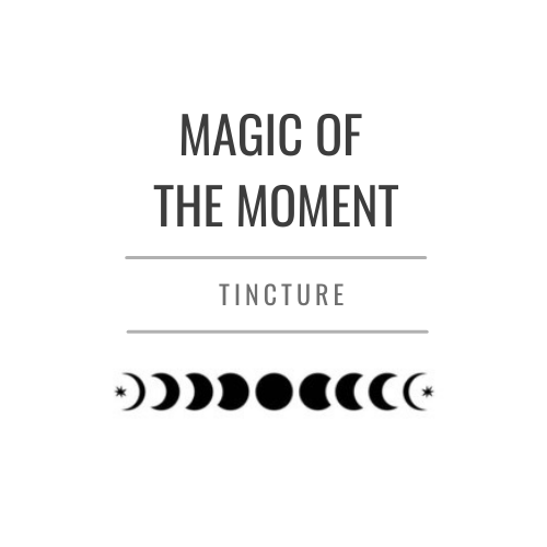 Magic of the Moment Tincture