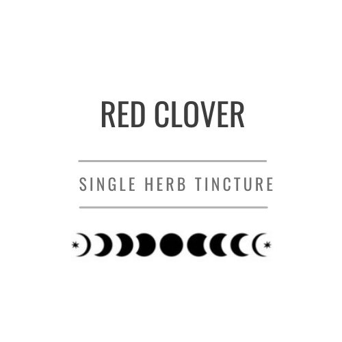 Red Clover Tincture